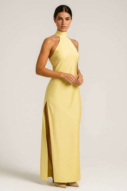 Robe Maxi Femme - Halter Col Montant Dos Nu Gainante | Soirée